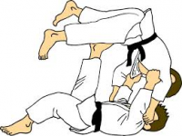 L'ENTENTE DE LA VALLEE-JUDO CLUB MAZUROIS