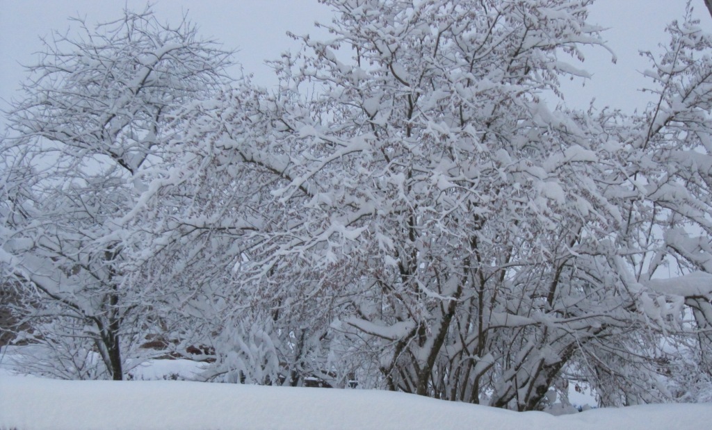 Village en hiver